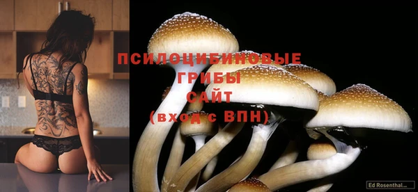 хмурый Армянск