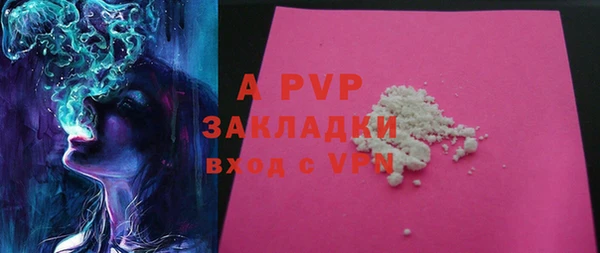 прущие грибы Аркадак