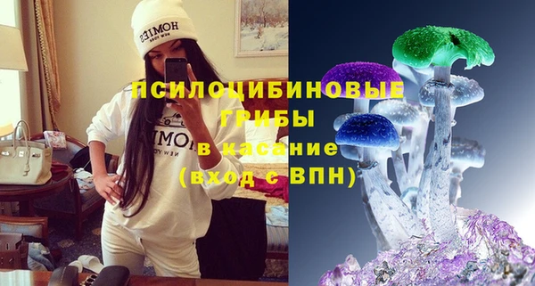прущие грибы Аркадак