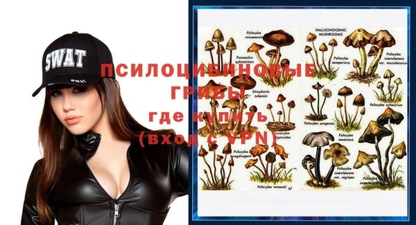 прущие грибы Аркадак