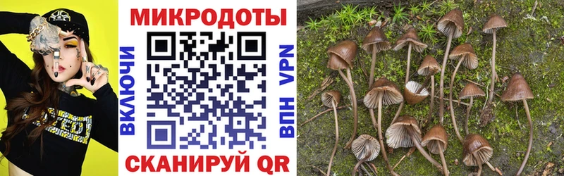 наркотики  Юрюзань  Псилоцибиновые грибы Magic Shrooms 